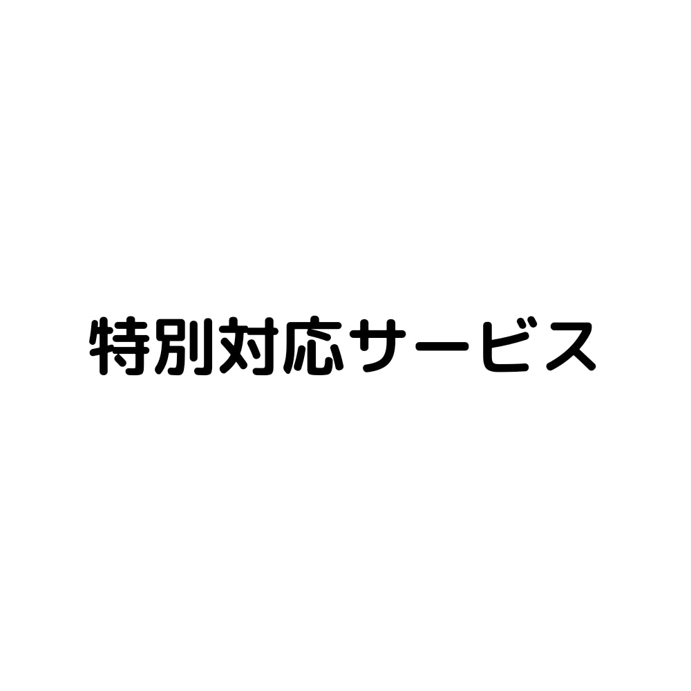 オプションサービス