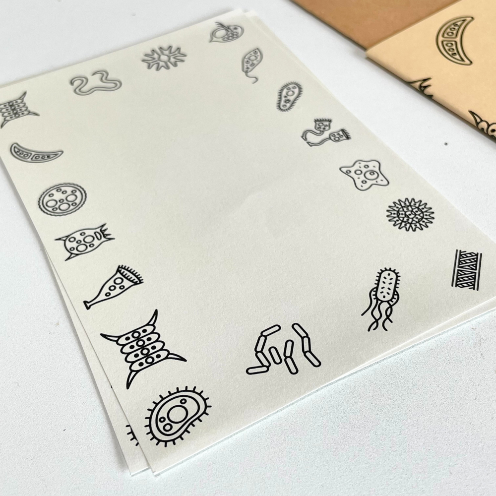ギフトパッケージ単品(レンズキットが2つまで入ります)