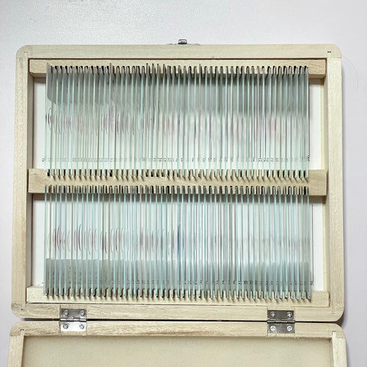 (F)組織学プレパラート100種セット