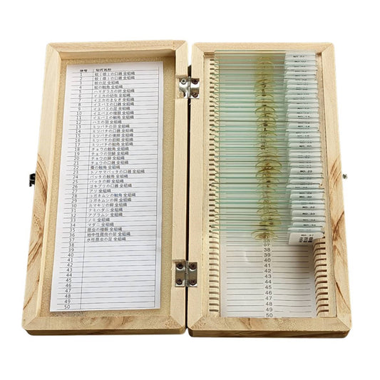 (D)虫プレパラート37種セット