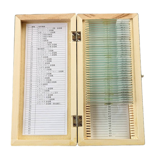 (C)微生物プレパラート42種セット